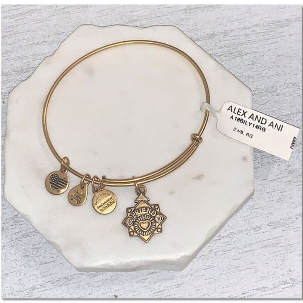 Alex and Ani Friend Charm Bangle Bracelet Gold Because I Love You Friend Tag